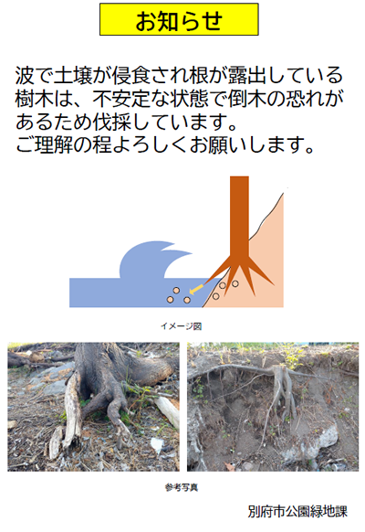 参考資料PDF画像