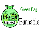 Green bag