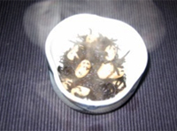 ひじき豆