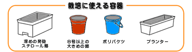 栽培に使える容器：深めの発砲スチロール箱・８号以上の大きめの鉢・ポリバケツ・プランター