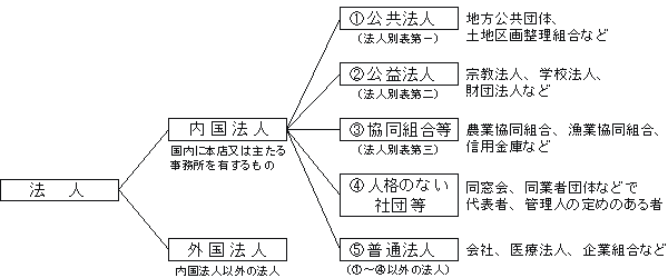 法人分類の図