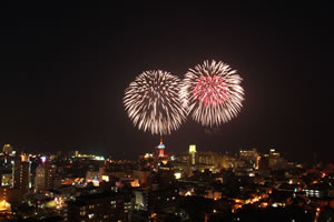 暗い夜の空の中央に、２つの花火が上がっている写真。下方には赤い別府タワーと、別府市街地がぼんやり光っている。