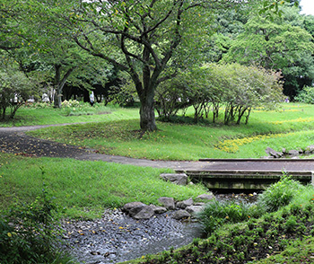 別府公園の写真