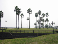 上人ヶ浜公園の写真