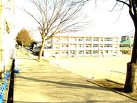 境川小学校の写真